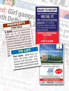 Newspaper Property Ad